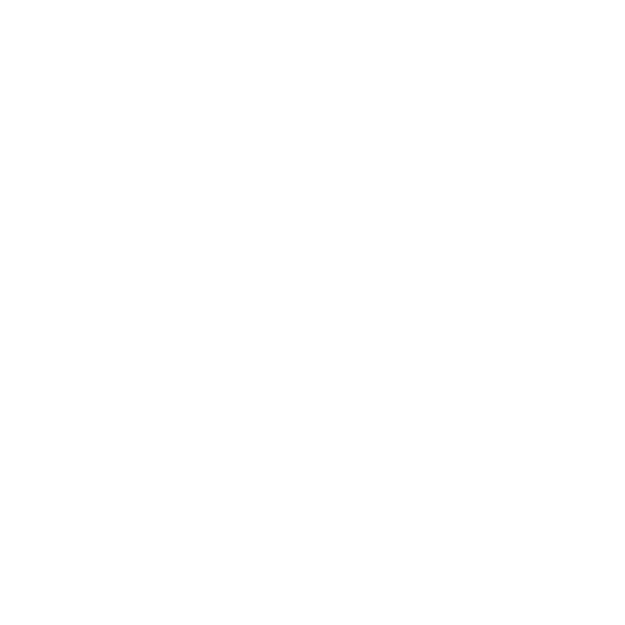 Ceramic Braces